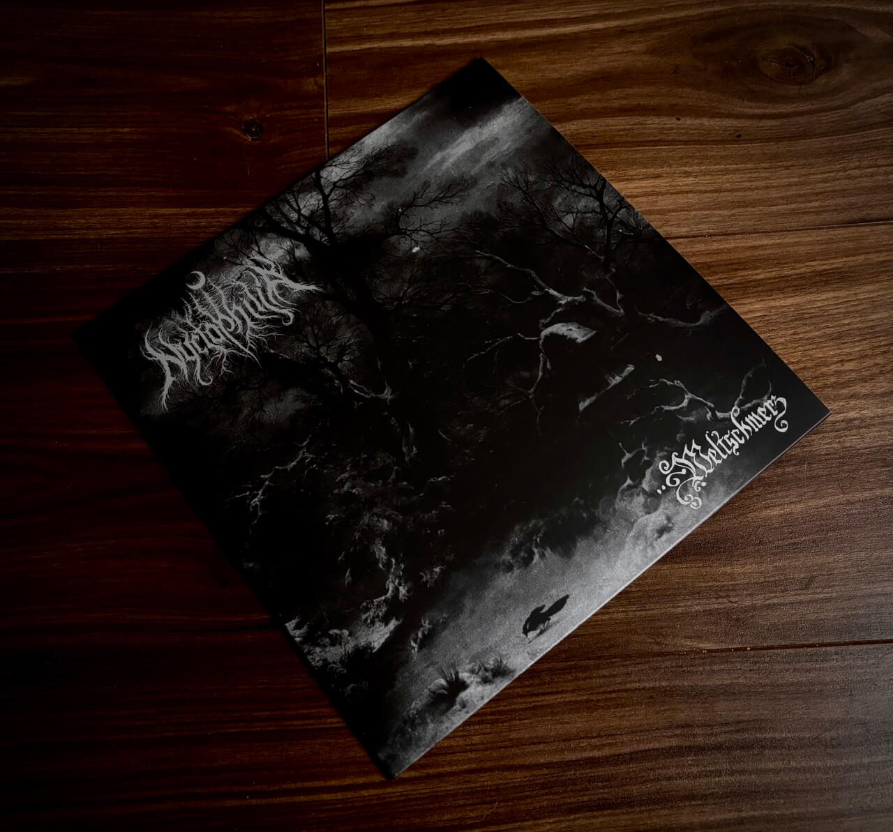 Nyctophilia-Weltschmerz-vinyl1 .jpeg