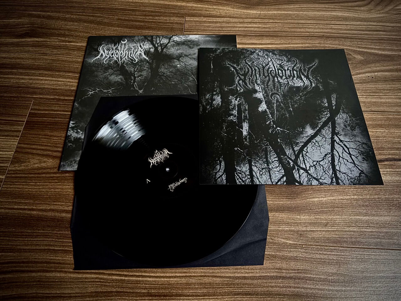 Nyctophilia-Weltschmerz-vinyl13.jpeg